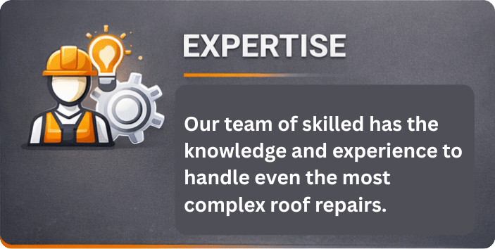 expertise